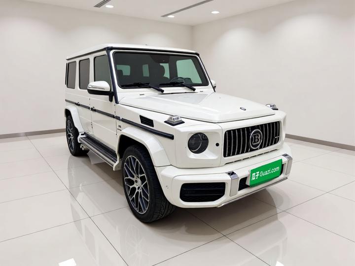 G-Class 2010 G 500 photo 3