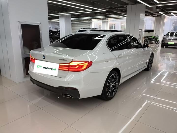 5 Series 2020 530Li Leading M Sport Package photo 4
