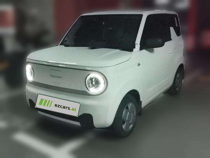 2024 Panda mini 200km Endurance Bear