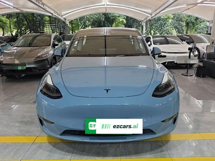 Model Y 2021 Standard Range RWD photo 2