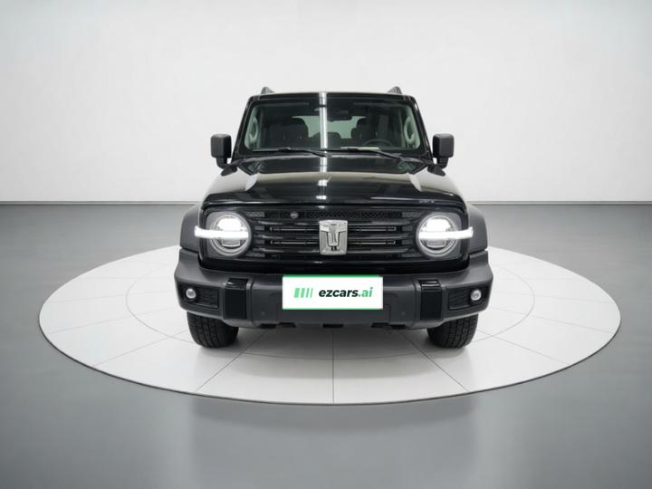 300 2023 Off-road 2.0T Conqueror photo 2
