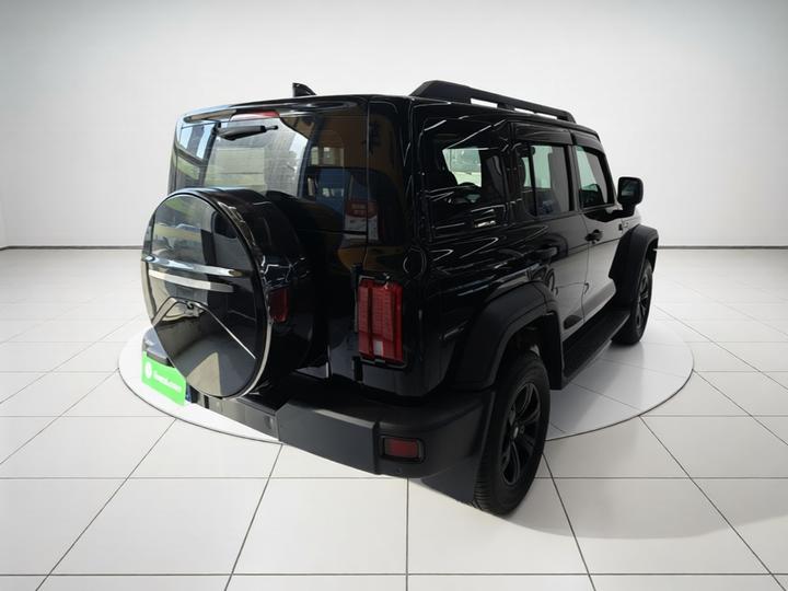 300 2021 Off-road 2.0T Conqueror photo 6