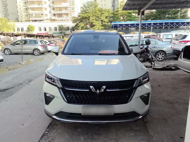 Wuling 2022 2.0L DHT photo 2