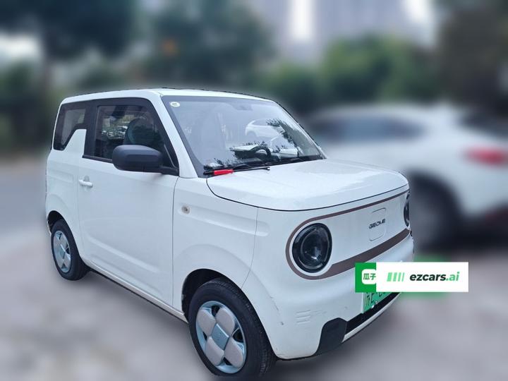 2023 Panda mini 200km Endurance Bear photo 3