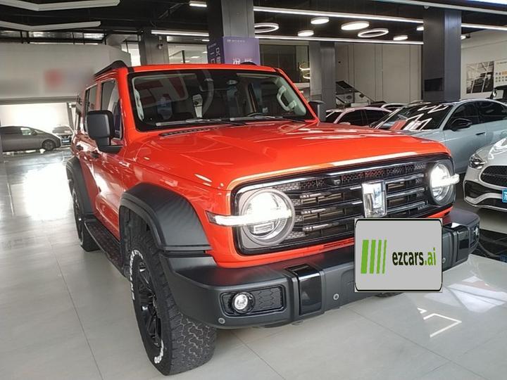 300 2021 Off-road 2.0T Conqueror photo 3