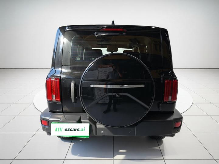 300 2021 Off-road 2.0T Conqueror photo 5