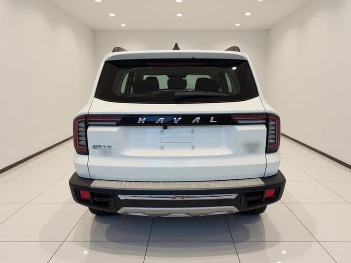 Dargo 2021 2.0T DCT AWD Zhonghua photo 3