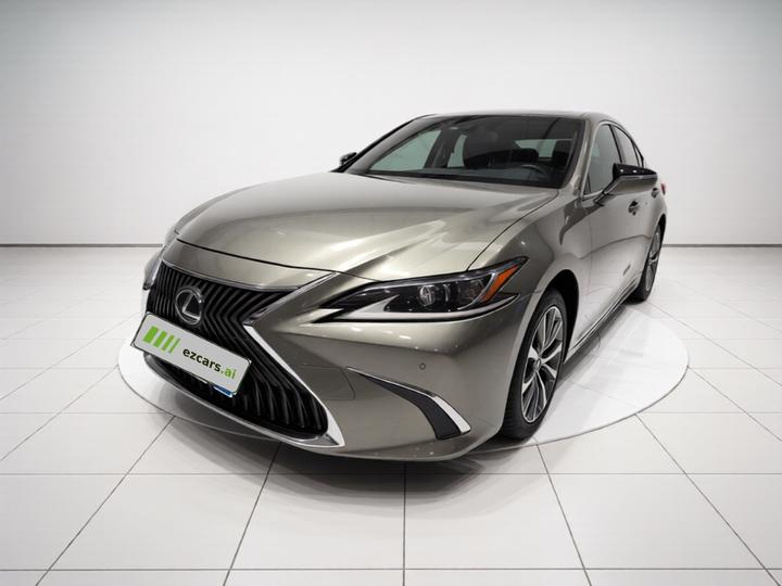 ES 2018 300h Excellence China VI
