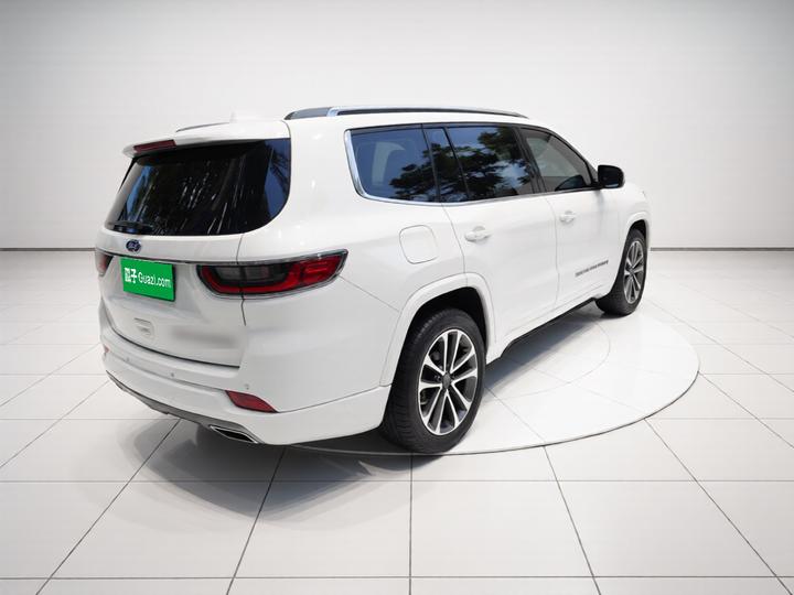 Grand Commander 2018 2.0T AWD Smart China VI photo 6