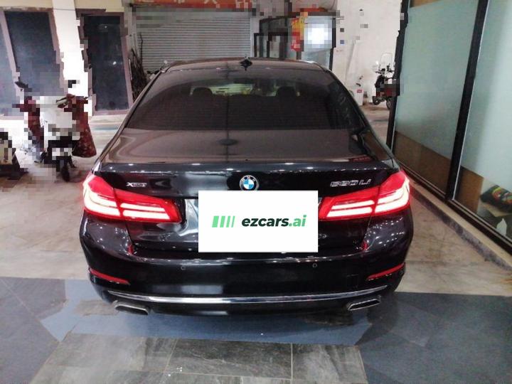 5 Series 2018 530Li xDrive Luxury photo 3