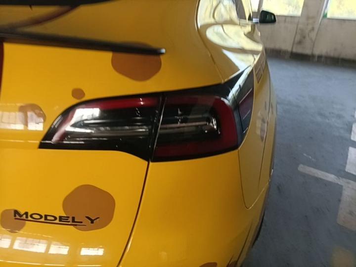 Model Y 2022 Performance AWD photo 7