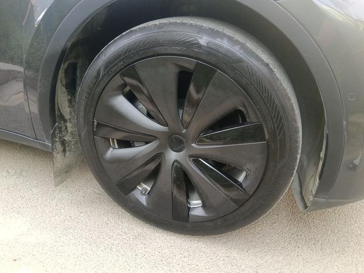 Model Y 2021 Standard Range RWD photo 8