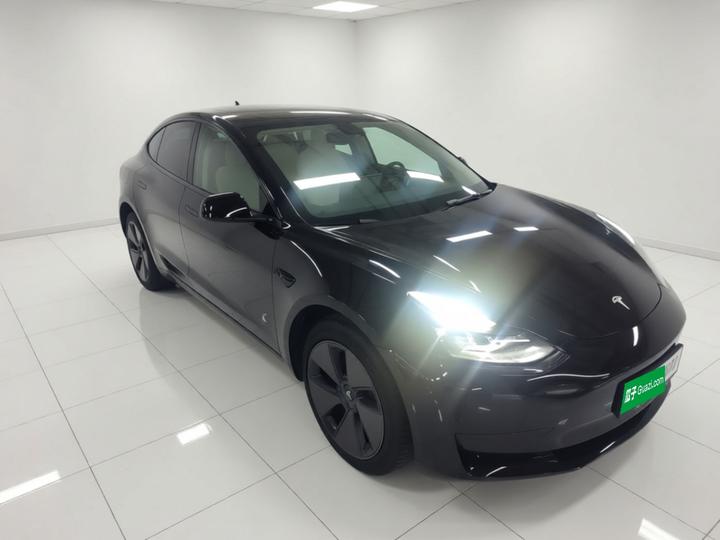 Model 3 2021 Facelift Standard Range RWD Upgraded 3D1 photo 3