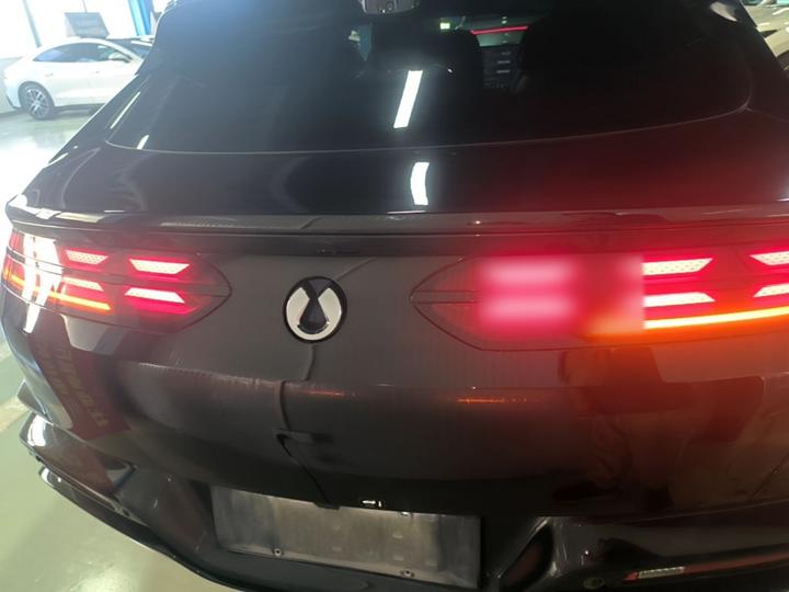 Z9GT 2024 1100 AWD Max photo 5