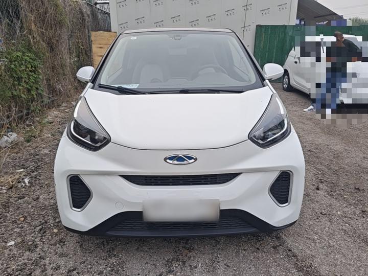 QQ Little Ant 2021 15 LFP photo 2