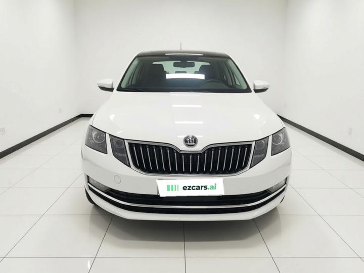 Octavia 2019 TSI230 DSG Luxury China V photo 2