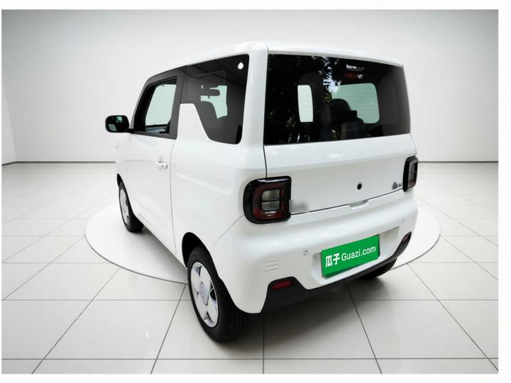 2023 Panda mini 200km Endurance Bear photo 4