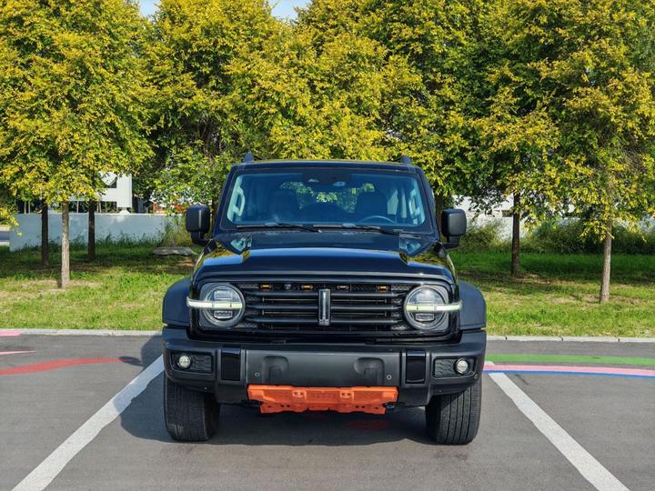 300 2021 Off-road 2.0T photo 3