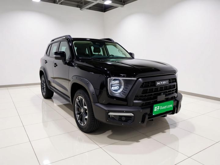 Dargo 2024 2.0T DCT Zhonghua photo 3