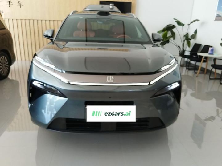 Tang L 2025 DM 175KM photo 2