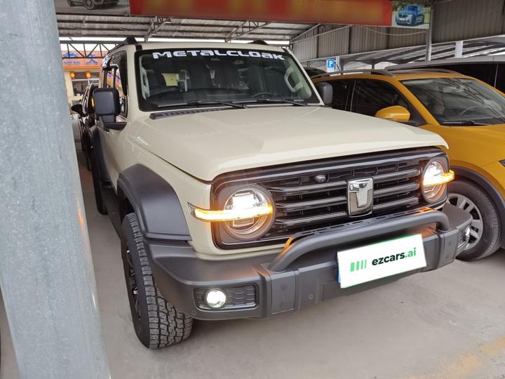 300 2025 2.0T Petrol Conqueror photo 3