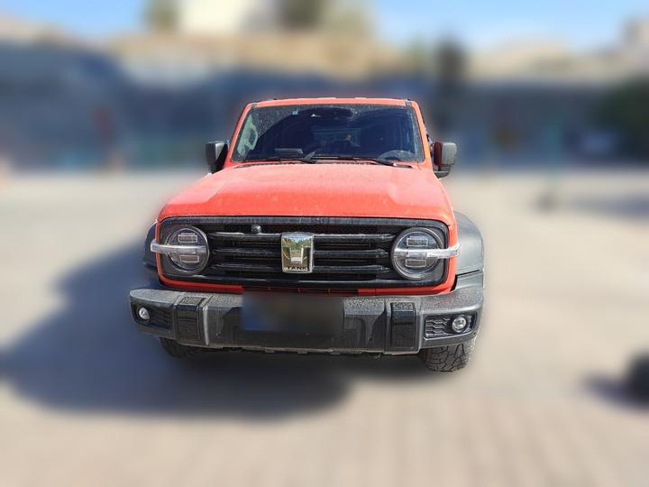 300 2023 Off-road 2.0T photo 2