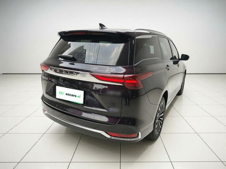 Wuling 2023 2.0L DHT photo 6