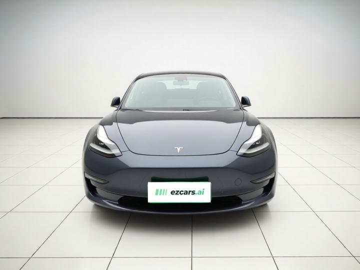Model 3 Imported 2019 Long Range AWD photo 2