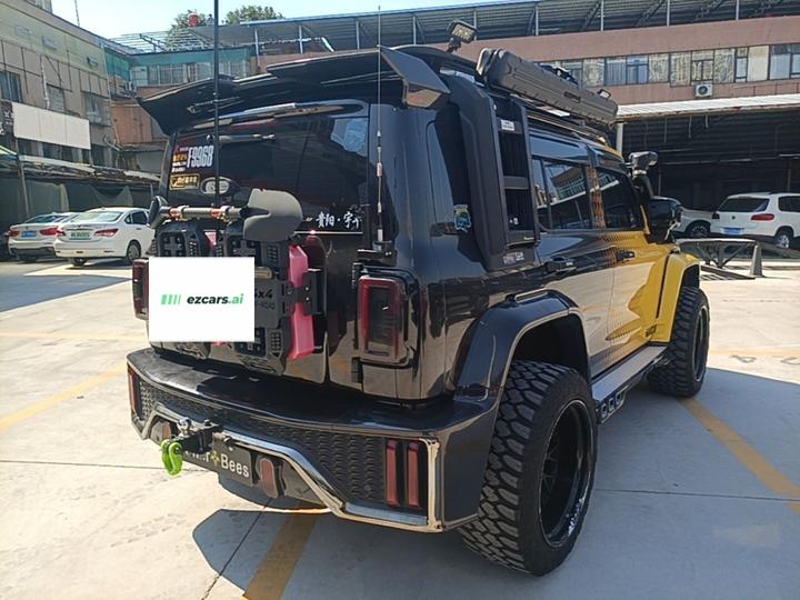 300 2023 Off-road 2.0T Conqueror photo 4