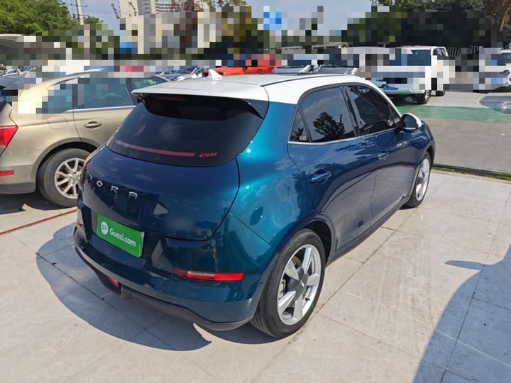 Good Cat 2021 400km Standard Range LFP photo 4