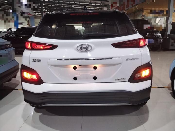 EV 2020 GLS photo 3