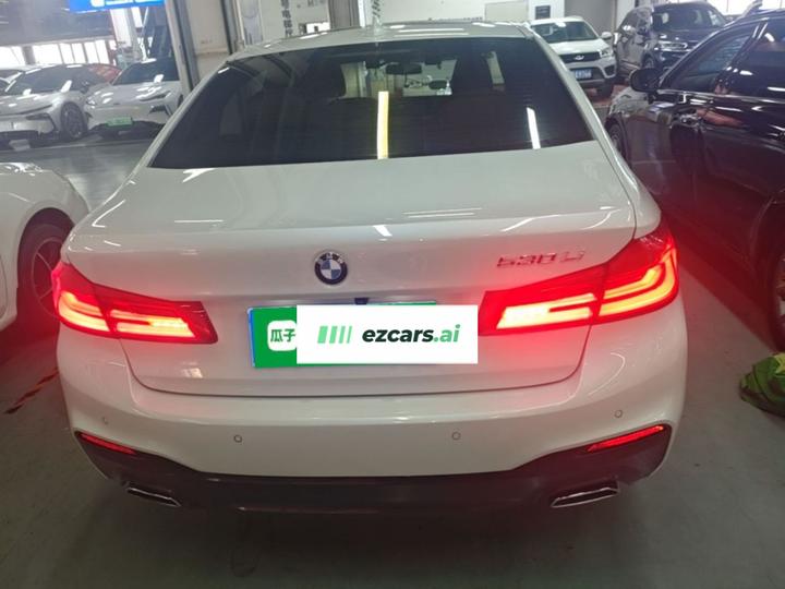 5 Series 2018 530Li Leading M Sport Package photo 5