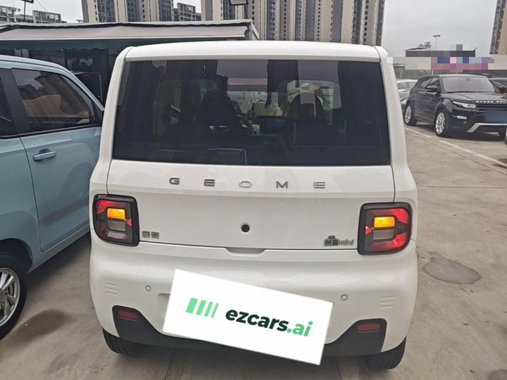 2023 Panda mini 200km Endurance Bear photo 5