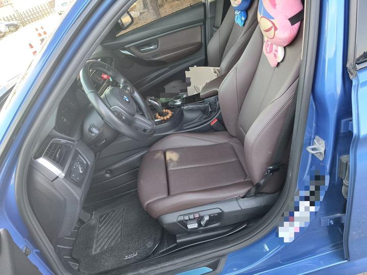 3 Series 2019 320Li M Luxury photo 7