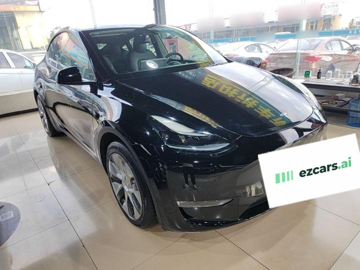 Model Y 2021 Standard Range RWD photo 3