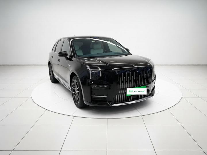 009 2024 6-Seater Executive AWD 108kWh photo 3