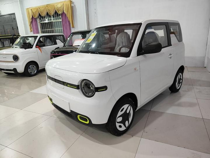 2025 Panda mini 210km Yuan