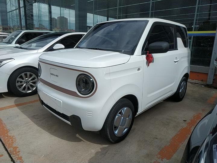 2024 Panda mini 200km Endurance Bear
