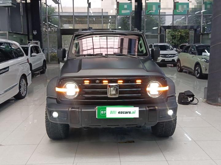 300 2021 Off-road 2.0T Conqueror photo 2