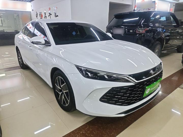 Qin L 2024 DM-i 80KM photo 3