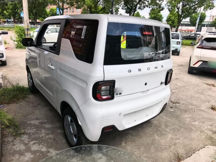 2024 Panda mini 200km Endurance Bear photo 4