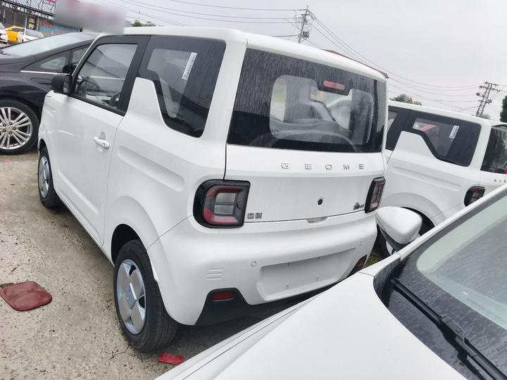 2024 Panda mini 200km Endurance Bear photo 6