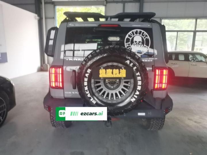 300 2023 Off-road 2.0T Conqueror photo 5