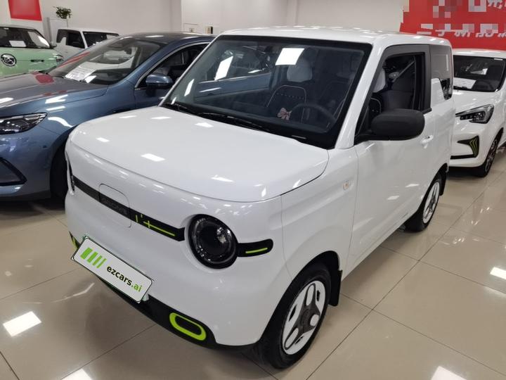 2025 Panda mini 210km Yuan