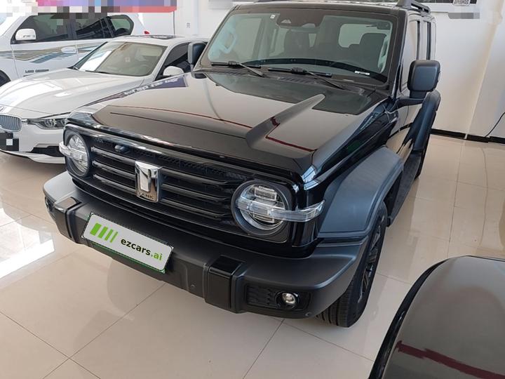 300 2023 Off-road 2.0T Conqueror