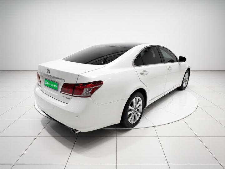 ES 2010 240 Elegant photo 6