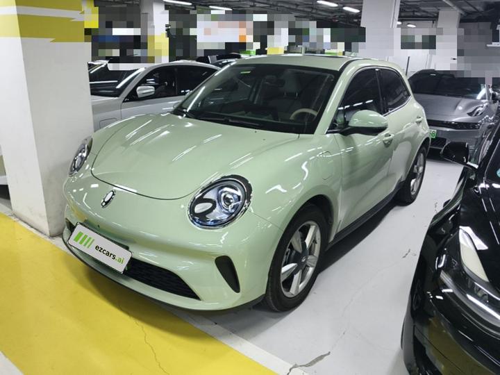 Good Cat 2025 430km Luxury
