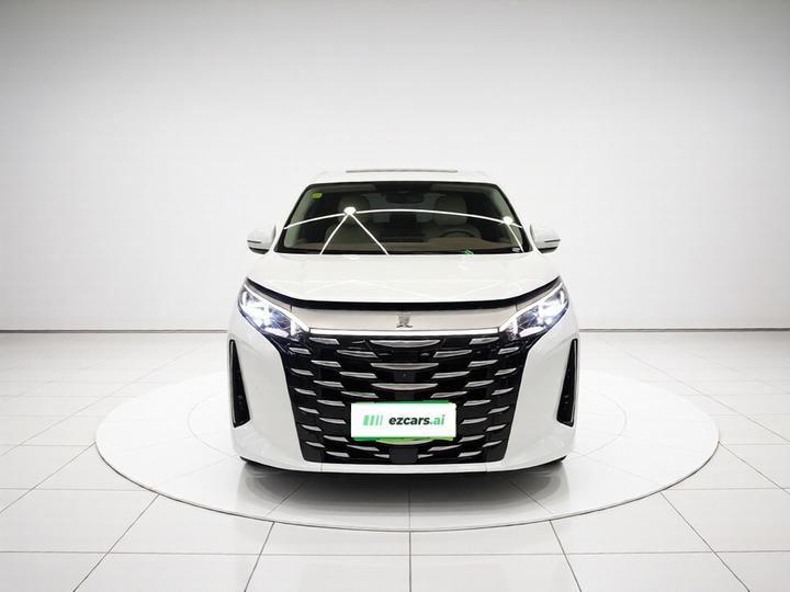 2025 DM-i 1.5T 180km photo 2
