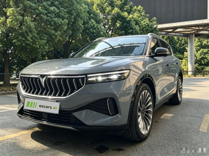 Voyah FREE 2021 AWD Standard EREV Luxury