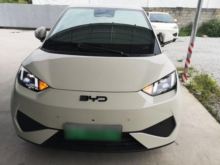 Seagull 2025 ADAS 305km photo 2